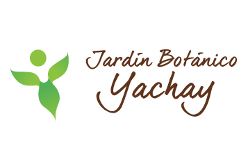 Agrobiodiversidad y conservación ex situ del tubérculo andino “oca” (Oxalis tuberosa) en el Jardín Botánico Yachay