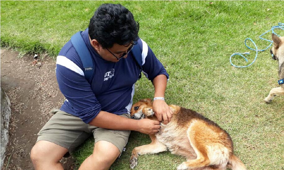 Yachay Tech students do community work to benefit dogs